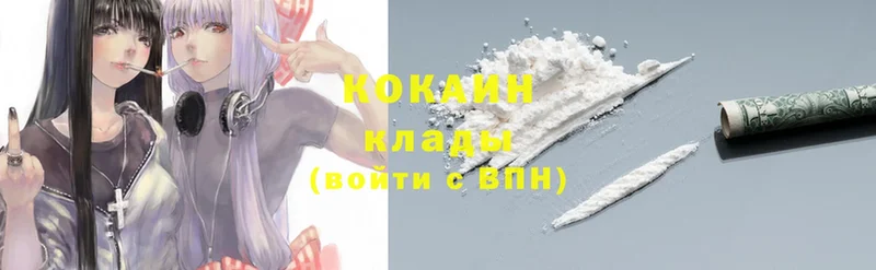 Cocaine FishScale  darknet как зайти  Егорьевск 