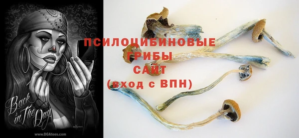 трава Гусиноозёрск