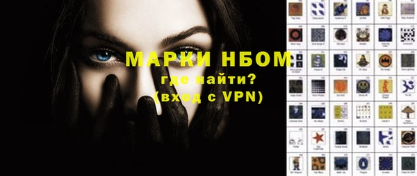 ECSTASY Гусь-Хрустальный