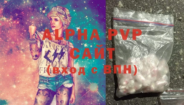 индика Горнозаводск