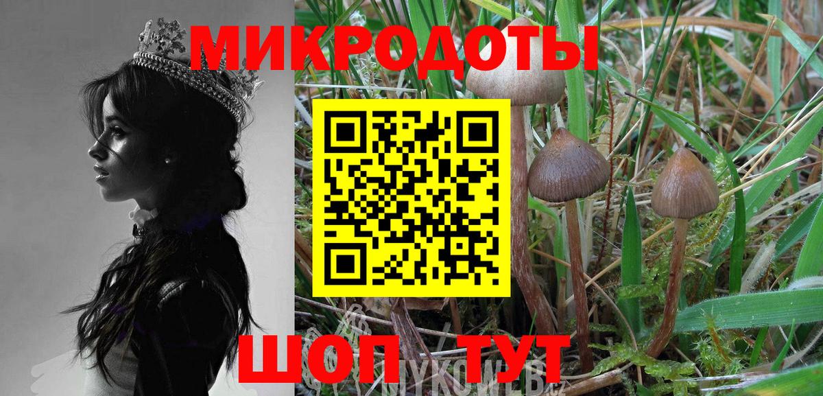 APVP Егорьевск
